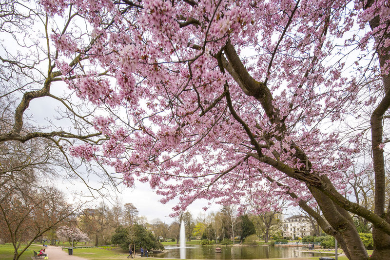 Recreation Areas - Warmer Damm Park