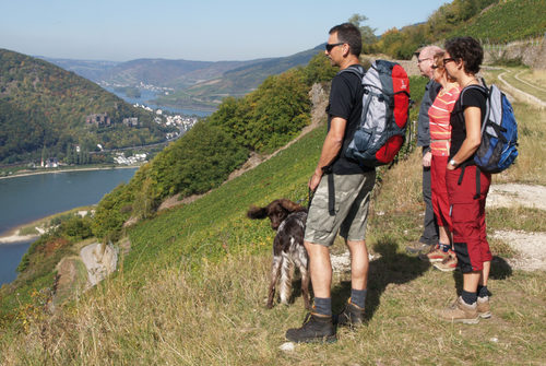 View on the Rhine.