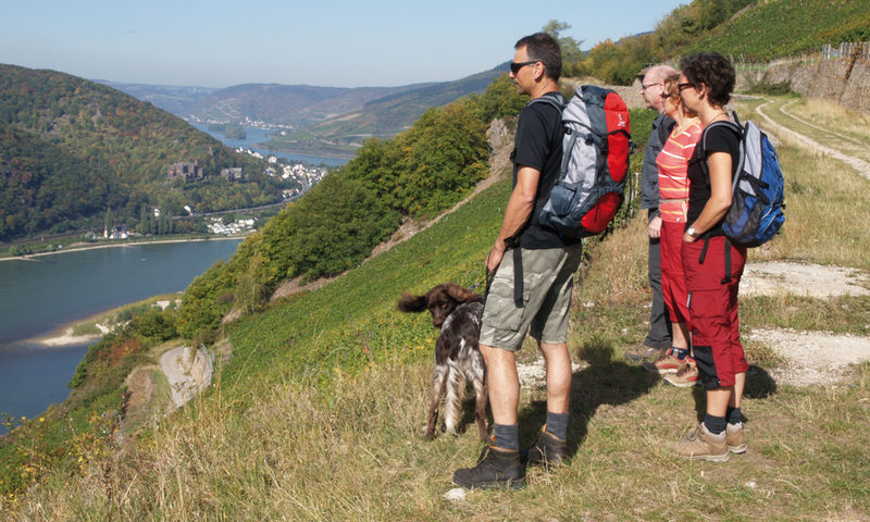 View on the Rhine.