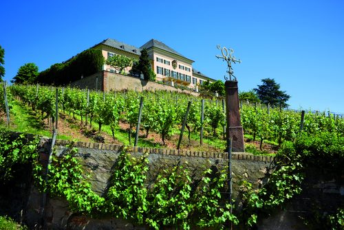 At Johannisberg Castle, wine from the oldest Riesling vineyard can be tasted.