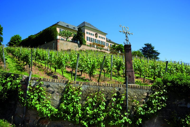 At Johannisberg Castle, wine from the oldest Riesling vineyard can be tasted.