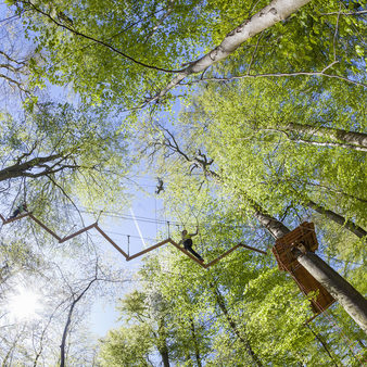 Der Kletterwald aus der Perspektive von unten nach oben fotografiert.