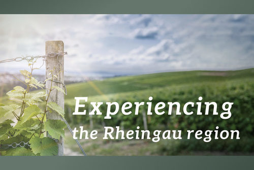 Rubrikansicht Rheingau erleben