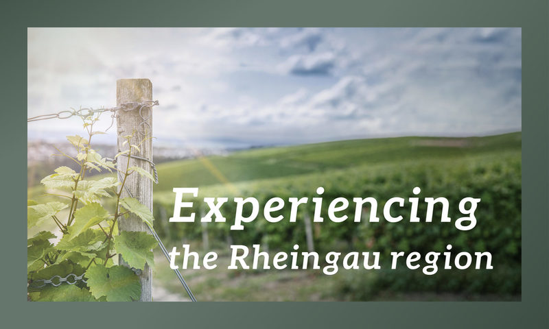 Rubrikansicht Rheingau erleben